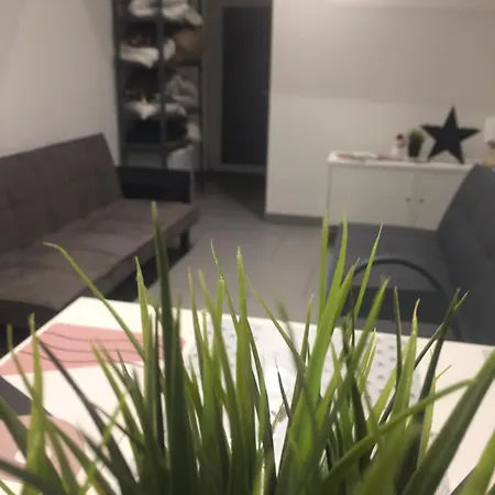 Le Megève Appartement Sainte-Croix-en-Plaine